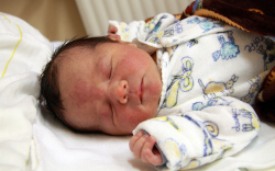 Krucsó Bálint István, Hédervár