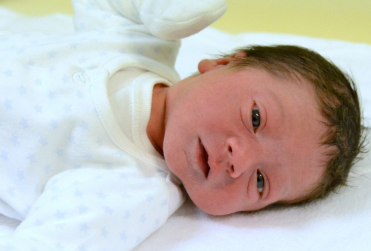 Vitéz Dávid, Mosonmagyaróvár