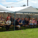 Megyei Nemzetiségi Nap és Megyei Értéknap