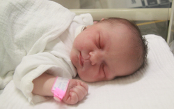 Szűcs Lana Zoé, Mosonszolnok