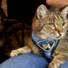 1. Győri Puha Praclik találkozó a Kotyogós Cafféban 