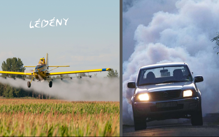 Szúnyoggyérítés Lébényben