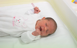 Körmendi Jázmin, Hegyeshalom