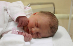 Gyarmati Fruzsina Erzsébet, Mosonmagyaróvár