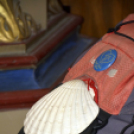 10. Jubileumi Szent Jakab zarándoklat Lébényben 