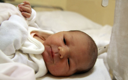 Kovács Lara, Halászi