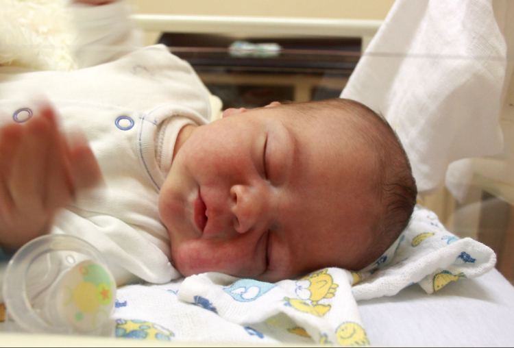 Kis Kornél Levente, Csorna