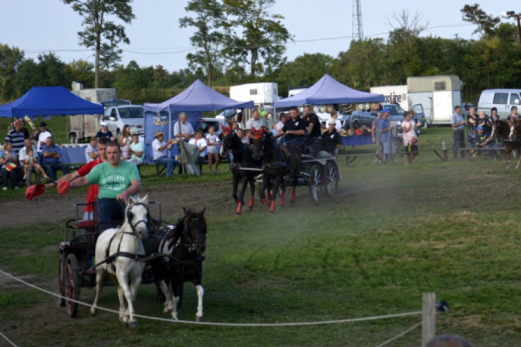 10.  Sajtos-Réti fogathajtó verseny 