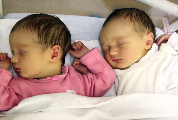 Rozs Mirabella, Rozs Levente, Bősárkány