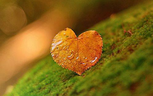 Szigetköz Natúrpark – Összhang a tájban