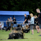 Máriakálnok Falunap 2019