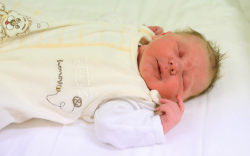 Bognár Luca, Csorna