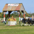 10.  Sajtos-Réti fogathajtó verseny 