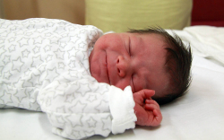 Katona-Tóth Alex, Mosonmagyaróvár