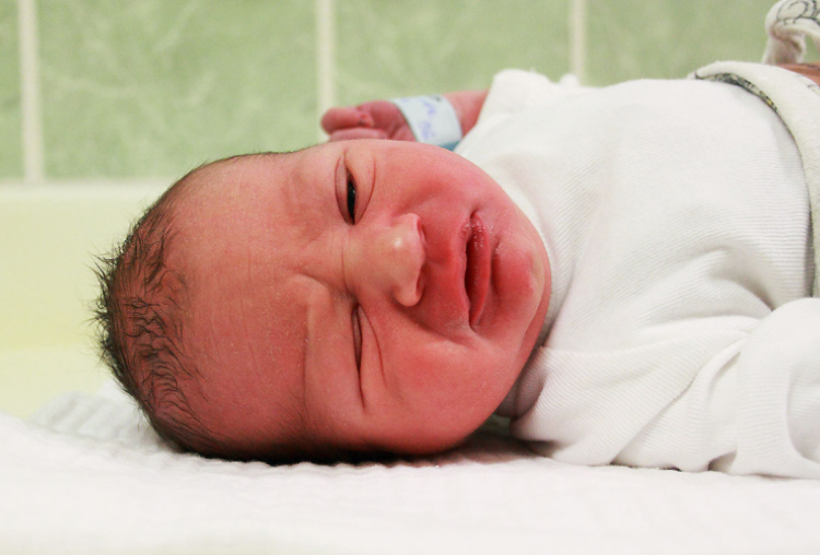 Telek Olivér, Kimle