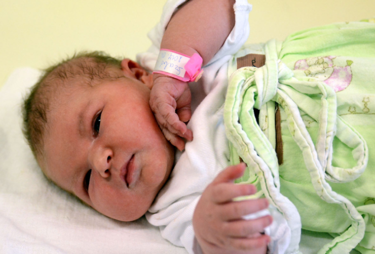 Szabó Laura, Barkacs