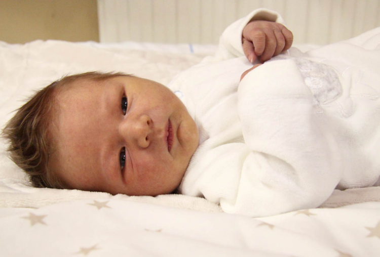 Burkus Bende, Mosonmagyaróvár