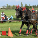 10.  Sajtos-Réti fogathajtó verseny 
