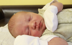 Gartner Benedek, Sopron