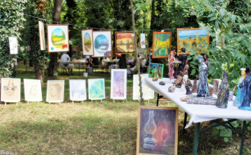 Megrendezték a XI. Fotópikniket Darnózselin