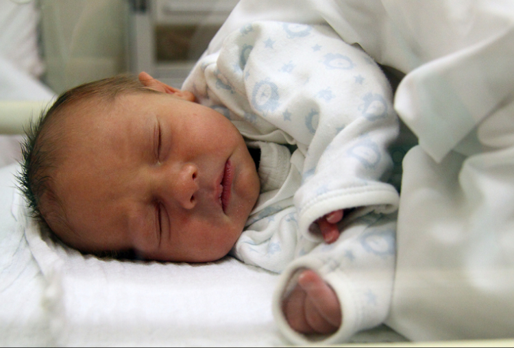 Markovits Bence, Halászi