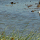 Tilai Gergely online fotókiállítása - díjnyertes képekkel