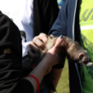 Az ország legnagyobb napóráját avatták Dunaszigeten