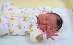 Tuba Johanna, Mosonmagyaróvár