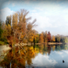 Scháling Anita Fotóalbuma