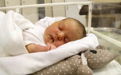 Cikhart Maja, Mosonmagyaróvár