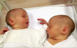 Gecsei Patrícia, Gecsei Viktória, Lébény