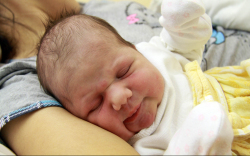 Régi Melánia Ella, Máriakálnok