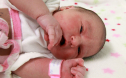 Lőrinc Lara, Jánossomorja