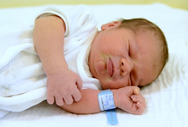 Bölcskei Bence, Hegyeshalom