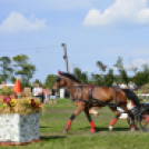 10.  Sajtos-Réti fogathajtó verseny 