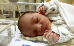 Balogh Dilen Róbert, Mosonmagyaróvár