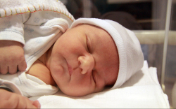 Gráczol Zsolt, Mosonmagyaróvár