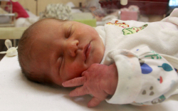 Gerencsér Bogi, Kapuvár