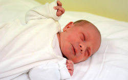 Edesár Máté, Mosonmagyaróvár