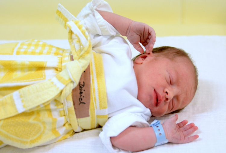 Baka Dániel, Sopron