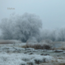 Tilai Gergely online fotókiállítása - díjnyertes képekkel