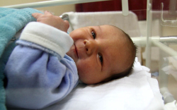 Szalay Dávid Zoltán, Mosonmagyaróvár