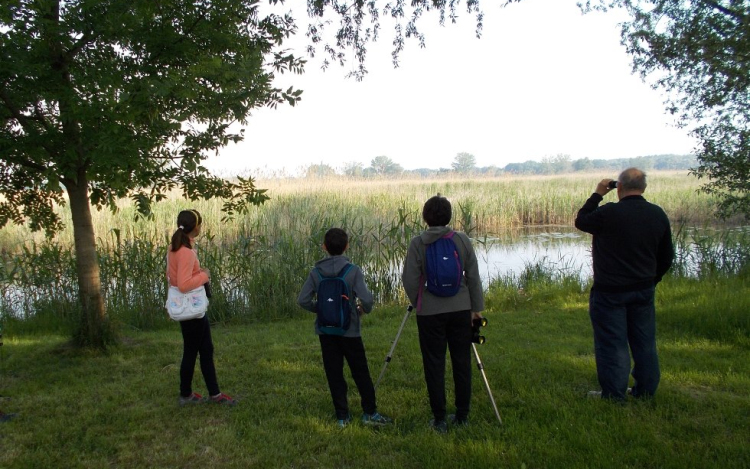 Volt egyszer egy Madárbarátság Napja - május 5.