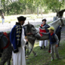 Szigetközi gulyahajtás 2018