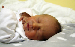 Molnár Marcell, Mosonmagyaróvár