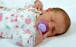 Zsigmond Ízisz, Dunakiliti