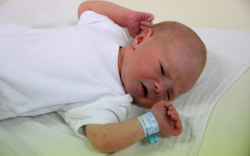 Soós Tamás, Kisbodak