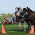 10.  Sajtos-Réti fogathajtó verseny 