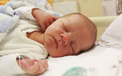 Kovács Patrik, Dunaszeg