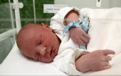 Balikó Benedek, Feketeerdő